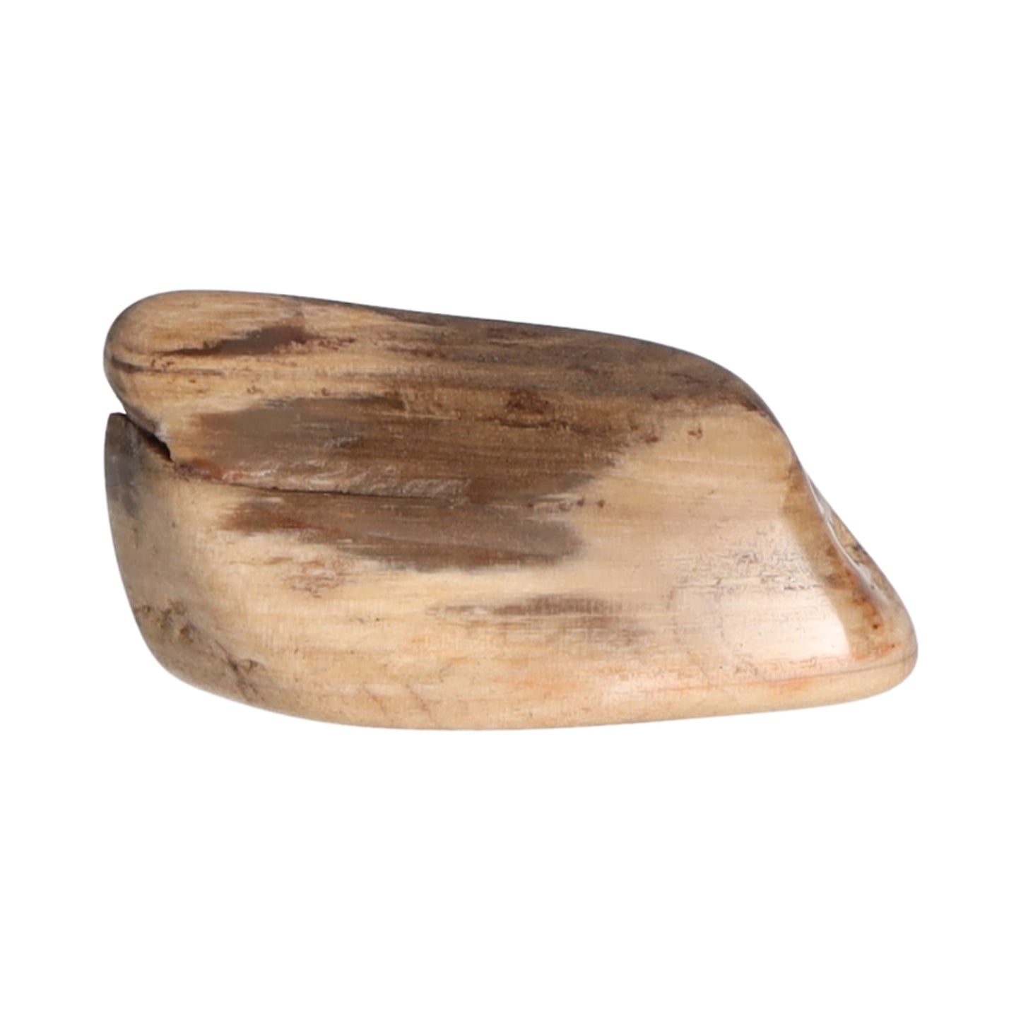 Fossiles Holz, Trommelstein